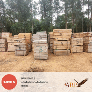 Pallet Lote 5