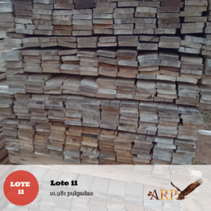 Lote 11: 10,981 pulgadas