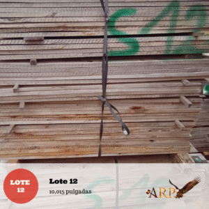 Lote 12: 10,015 pulgadas