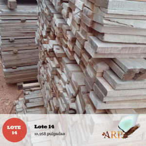 Lote 14: 10,268 pulgadas