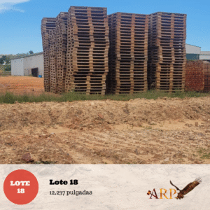 Lote 18: 12,237 pulgadas