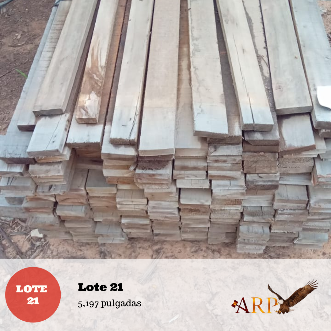 Lote 21: 5,197 pulgadas