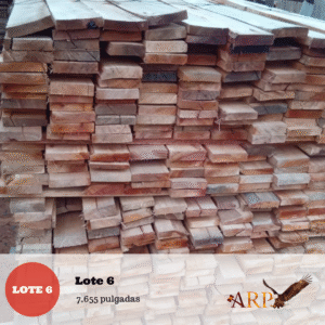 Lote 6: 7,655 pulgadas